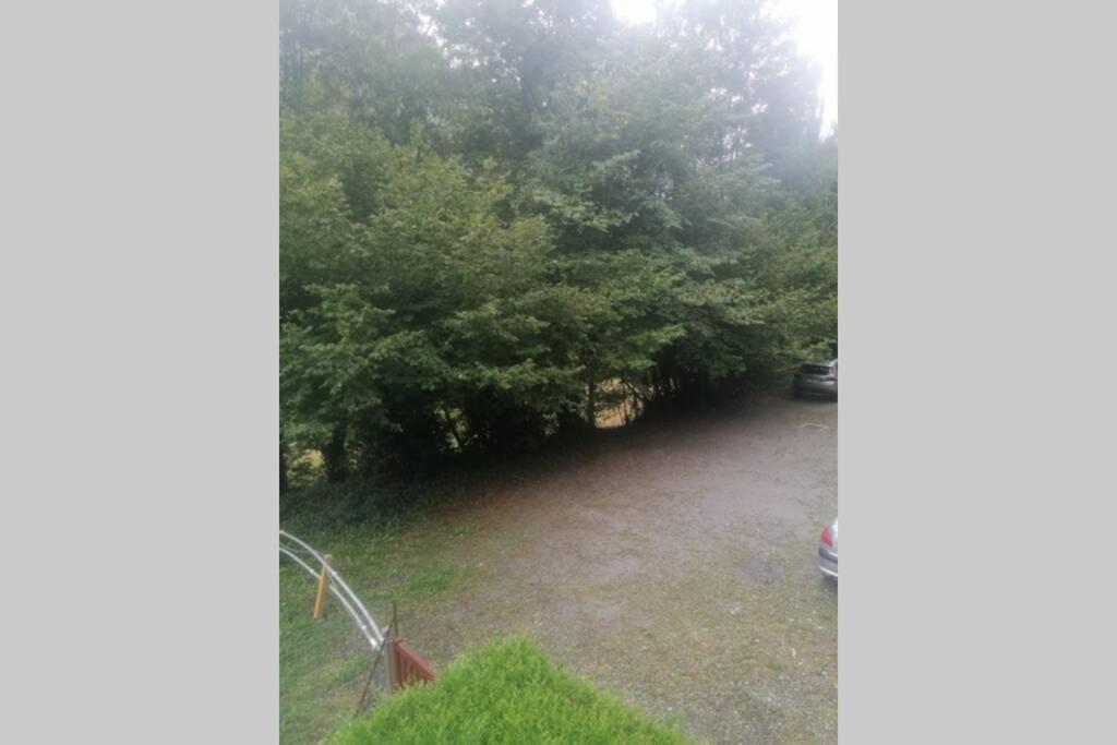 Appartement T2 30M², 4/6 Personnes Cauterets Eksteriør billede